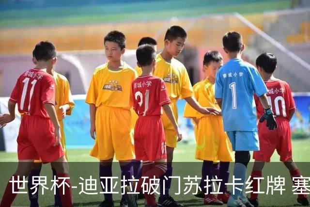 世界杯-迪亚拉破门苏拉卡红牌 塞内加尔半场1-0伊拉克