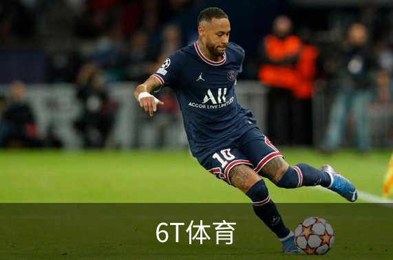 6T体育简介